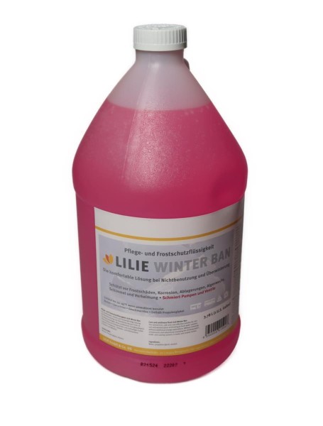 Frostschutzmittel Winter Ban 3,78 Liter 56601