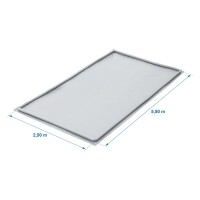 Zeltplane Vorzelt Bodenplane aufblasbar 2,50x5,50M
