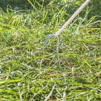 Zelthering 30cm Metal mit offener Öse 10 Stück im Polybeutel